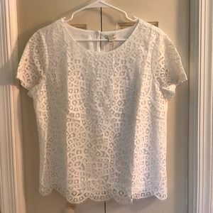 J. Crew White Lace Short Sleeve Blouse Size 8 NWT